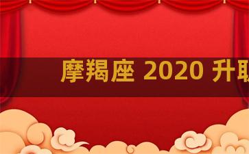 摩羯座 2020 升职